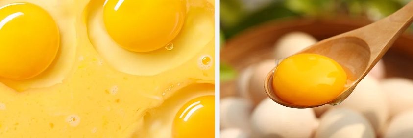 Egg Yolk Lecithin Powder.jpg